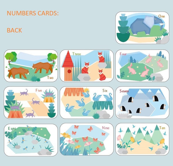 [PO] Alphabets & Numbers Match and Learn Cards